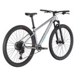Bicicleta Rockhopper Expert 29 2021 Prata Holográfico Tam-M