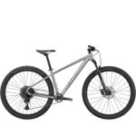 Bicicleta Rockhopper Expert 29 2021 Prata Holográfico Tam-M