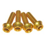 Kit Parafuso Suporte De Garrafa Tk-b516 4 Peças Dourado Token