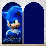 Painel Romano Tema Sonic 121