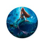 Capa Painel Redondo Sublimados Tema Ariel 1020