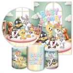 KIT 5 CAPAS LOONEY TUNES - 4219