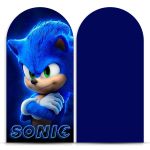 Capa Painel Romano Sublimado Tema Sonic 121