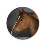 Capa Painel Redondo Tema Cavalo 3102