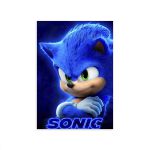 Capa Retangular Sublimados Sonic 4112