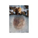 Capa Painel Retangular Sublimado Tema Mufasa 2254