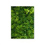 Capa Painel Retangular Sublimado Tema Muro Inglês /Fundo Folhagem 168
