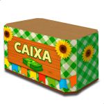 Capa Decorativa de Mesa - Festa Junina
