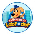 Painel Redondo 50x50 - Detetive Labrador