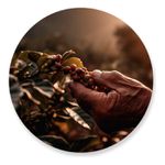 Painel Redondo 50x50 - Fazenda Agro