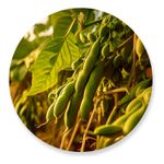 Painel Redondo 50x50 - Fazenda Agro