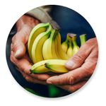 Painel Redondo 50x50 - Fazenda Agro