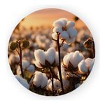 Painel Redondo 50x50 - Fazenda Agro