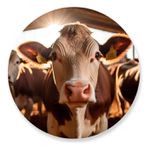 Painel Redondo 50x50 - Fazenda Agro