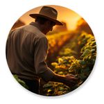 Painel Redondo 50x50 - Fazenda Agro