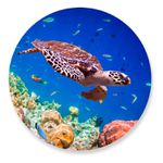 Painel Redondo 50x50 - Fundo do Mar