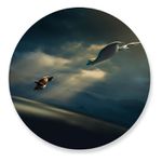 Painel Redondo 50x50 - Kung Fu Panda