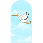 Painel Romano 2x1 - Chá Revelação