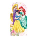 Painel Romano 2x1 - Princesas