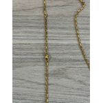 CORRENTE AÇO INOX 316L DOURADO NOSSA SENHORA APARECIDA