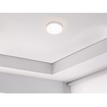 PAINEL LED FRAMELESS SOBREPOR 18W REDONDO 6500K TASCHIBRA