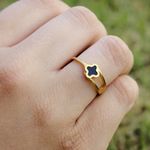 Anel Dois Fios com Trevo Preto Semijoia Aço Inox Dourado