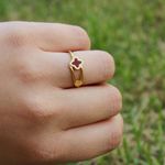 Anel Dois Fios com Trevo Vermelho Semijoia Aço Inox Dourado