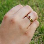 Anel Três Fios com Trevo Vermelho em Detalhe Romano Semijoia Aço Inox Dourado