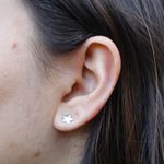 Brinco Estrela Aço Inoxidável 