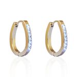 Brinco Argola Oval com Zircônias Aço Inoxidável Dourado