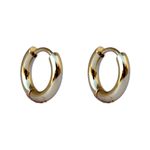Brinco Argola Pequena Aço Inoxidável Dourado