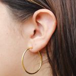 Brinco Argola Lisa Aço Inoxidável Dourado 