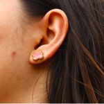 Conjunto Brinco e Colar Trevo Rosa Liso Aço Inoxidável Dourado 
