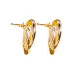 Brinco Círculos Entrelaçados Banhado a Ouro 18K