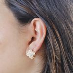Brinco Argola Trevo Cravejado Banho de Ouro 18K