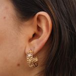Brinco Meia Argola Folhas com Zircônias Banho de Ouro 18K
