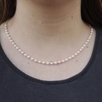 Choker Corrente Pérolas 4mm Banho de Ouro 18K