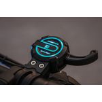 DUALTRON POPULAR DUAL MOTOR 52v 20Ah CN