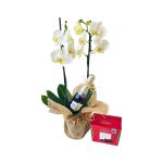 Orquídea com trufas e baby chandon