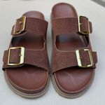 Papete Andressa Terra