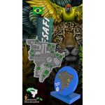DESAFIO DAS REGIÕES- ETAPA CENTRO-OESTE RUN