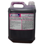 Detergente Desincrustante Ácido Solupam SM Vinho1/40 5L