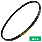 Correia 3L 300