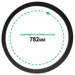 Correia B 29