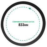 Correia B 31