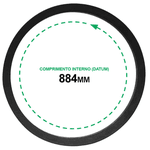Correia B 33