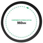 Correia B 36