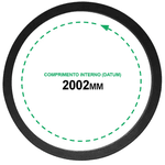 Correia B 77