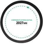 Correia B 78