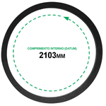 Correia B 81